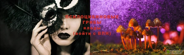 каннабис Богородицк