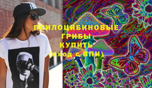 ГАЛЛЮЦИНОГЕННЫЕ ГРИБЫ Богданович