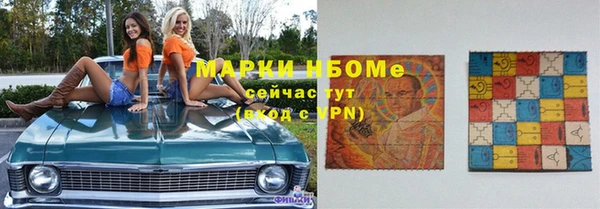 ГАЛЛЮЦИНОГЕННЫЕ ГРИБЫ Богданович