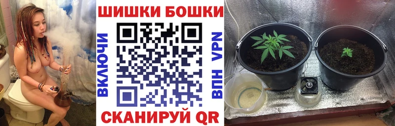 Бошки марихуана сатива  дарнет шоп  Тюмень 